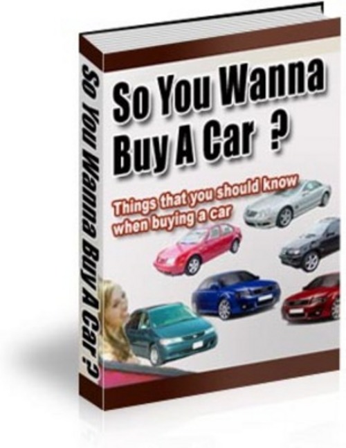 Product picture *New* So You Wanna Buy A Car 2011