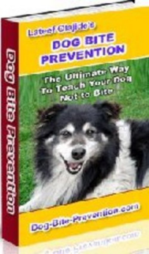 Product picture *New* Dog Bite Prevention: How To Stop Your Older Dog 2011