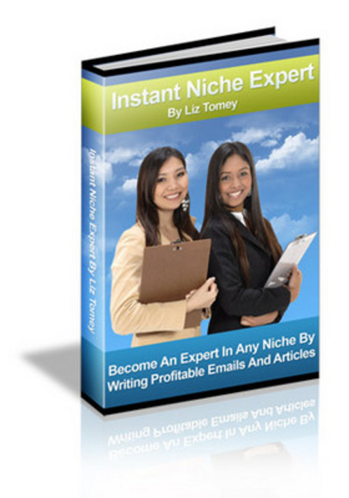 Product picture *New* Instant Niche Experts 2011