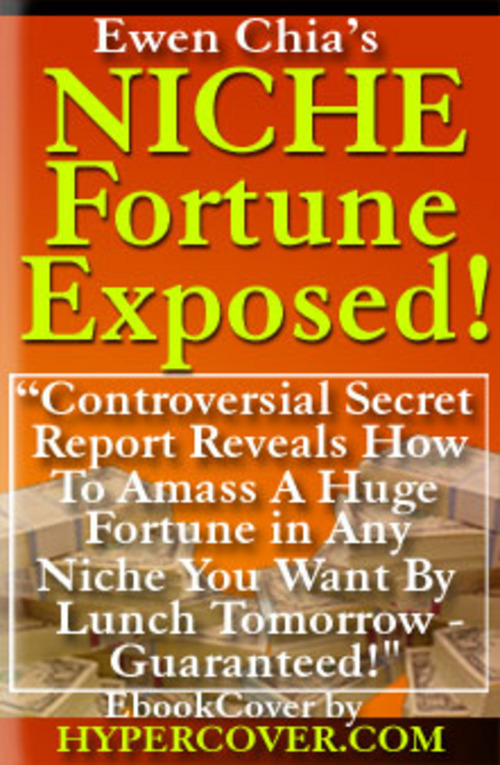 Product picture *New* Niche Marketing Kit 2011