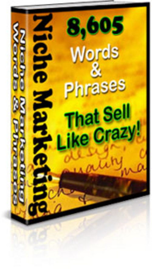 Product picture *New* Niche Words & Phrases 2011