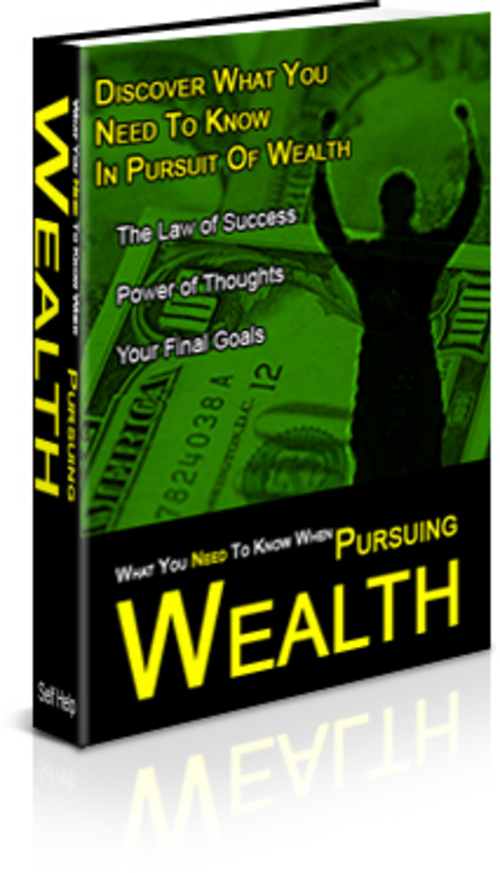 Product picture *New* Pursuing Wealth 2011