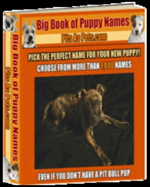 Product picture *New* Big Book Of Puppy Names 2011