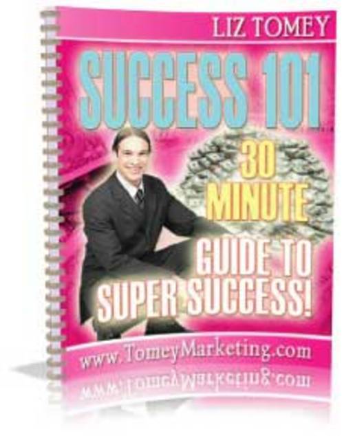 Product picture *New* Success 101 2011